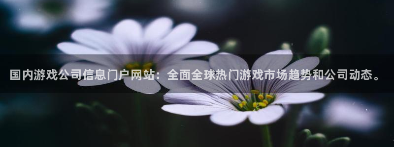 奇亿娱乐平台注册开户
