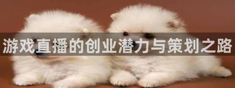 奇亿娱乐平台登录线路