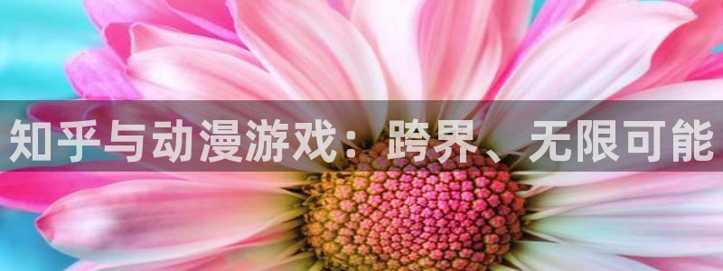 奇亿娱乐2登录：知乎与动漫游戏：跨界、无限可能