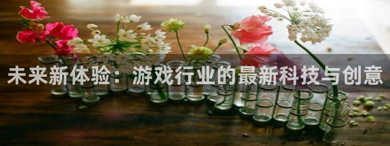 奇亿娱乐平台注册：未来新体验：游戏行业的最新科技与创意