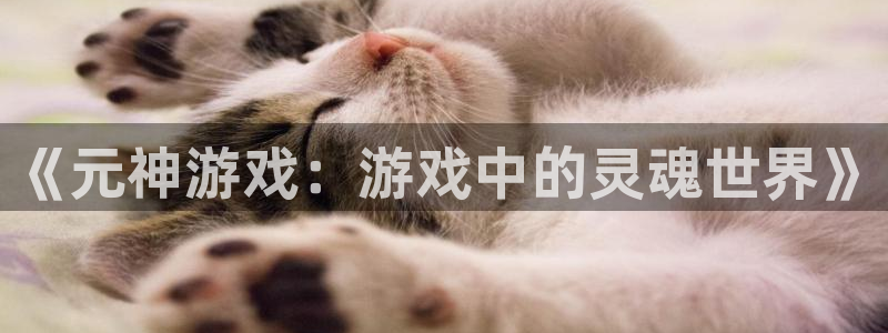手机版奇亿娱乐客户端下载：《元神游戏：游戏中的灵魂世界》