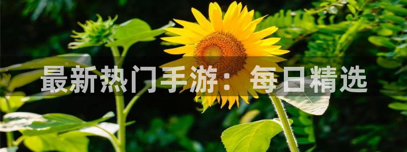 奇亿娱乐Ii：最新热门手游：每日精选