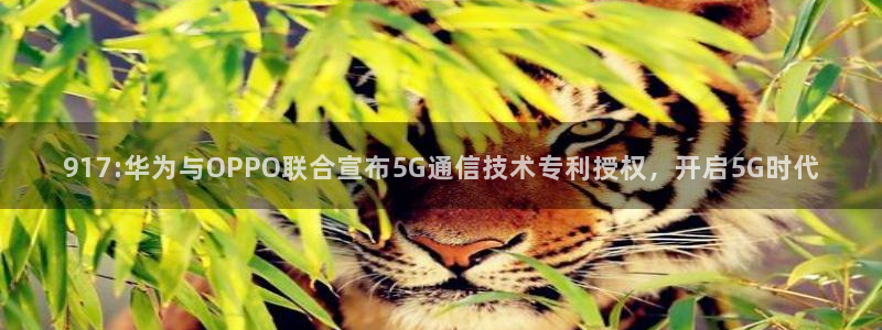 奇亿娱乐4主管：917:华为与OPPO联合宣布5G通信技术专