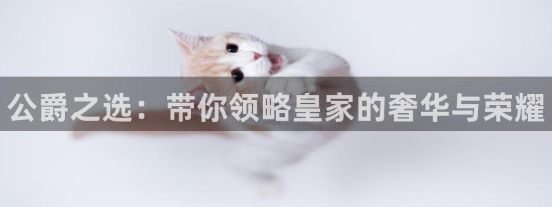 奇亿娱乐网址注册：公爵之选：带你领略皇家的奢华与荣耀