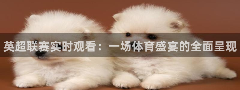 玩球直播app免费下载