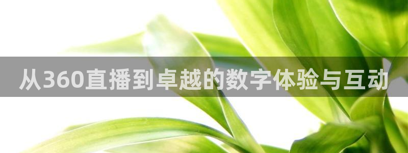 nba总决赛玩球直播：从360直播到卓越的数字体验与互动