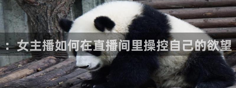 nba直播玩球：：女主播如何在直播间里操控自己的欲望