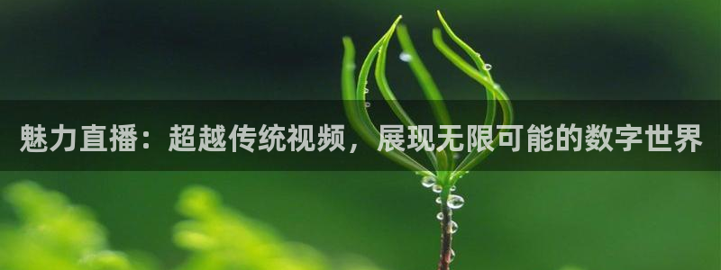小班体育游戏玩球：魅力直播：超越传统视频，展现无限可能的数字世界