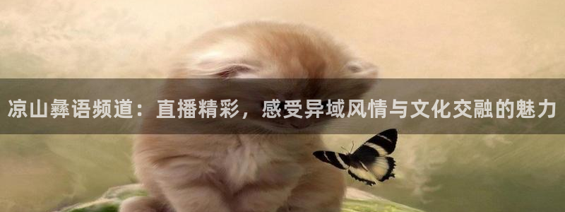 直播玩球：凉山彝语频道：直播精彩，感受异域风情与文化交融的魅力