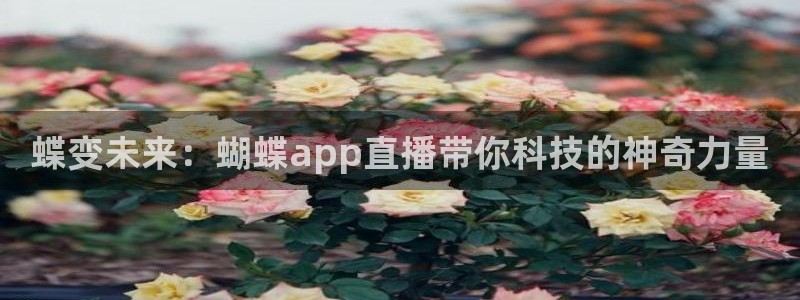 玩球直播app官方版下载：蝶变未来：蝴蝶app直播带你科技的神奇力量