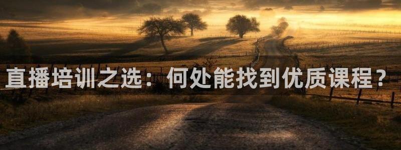 玩球直播官网下载：直播培训之选：何处能找到优质课程？