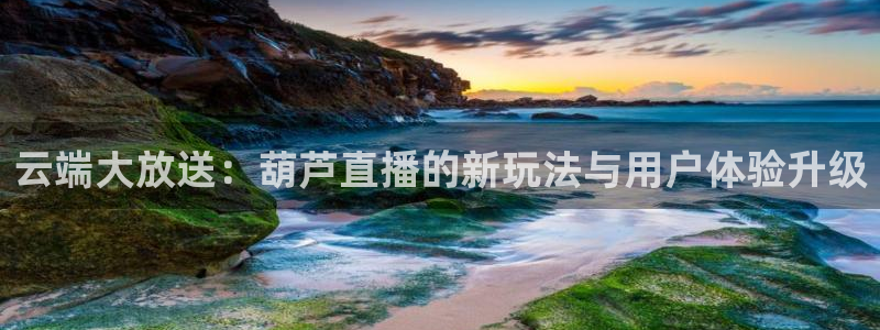 玩球直播免费直播：云端大放送：葫芦直播的新玩法与用户体验升级