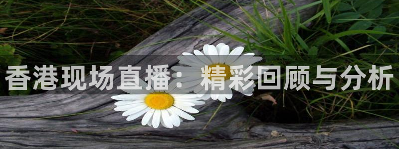 玩球直播nba体育直播：香港现场直播：精彩回顾与分析