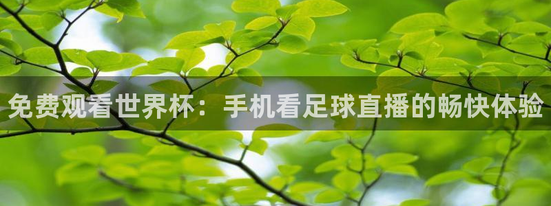 玩球的直播平台：免费观看世界杯：手机看足球直播的畅快体验