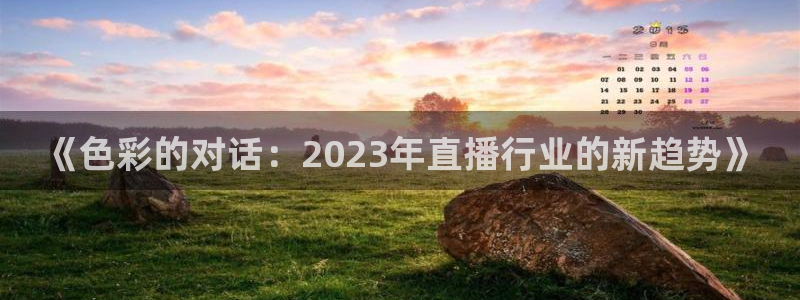 玩球直播官网app：《色彩的对话：2023年直播行业的新趋势》
